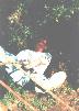  [ Pic: Rich Rappelling 1 ] 