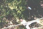  [ Pic: Rich Rappelling 2 ] 